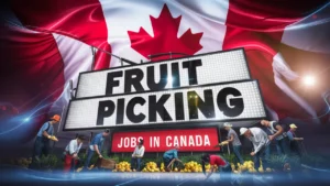 Read more about the article High-Paying Fruit Picking Jobs in Canada with Free Visa Sponsorship: Your Guide to Working Abroad with Travel Flexibility