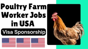 Read more about the article Poultry Jobs in the USA for Foreigners with Visa Sponsorship and Travel Flexibility